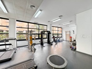 Gimnasio